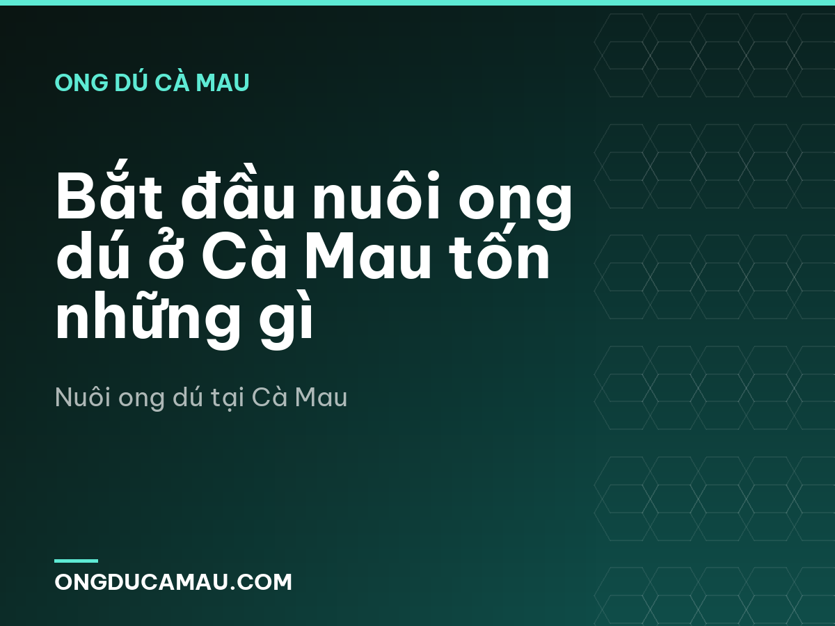 Bắt đầu nuôi ong dú ở Cà Mau tốn những gì
