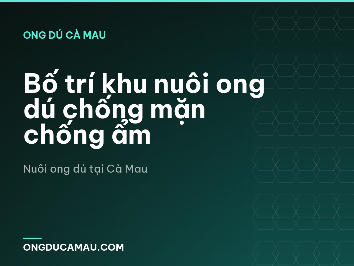 Bố trí khu nuôi ong dú chống mặn chống ẩm