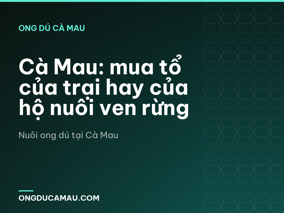 Cà Mau: mua tổ của trại hay của hộ nuôi ven rừng