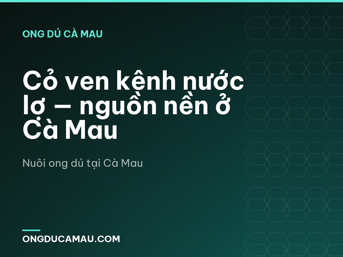 Cỏ ven kênh nước lợ — nguồn nền ở Cà Mau