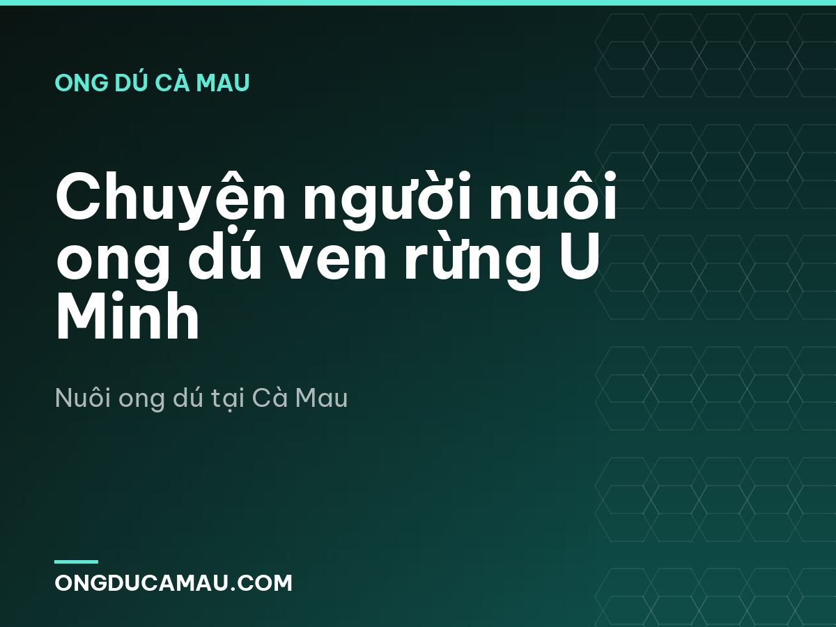 Chuyện người nuôi ong dú ven rừng U Minh