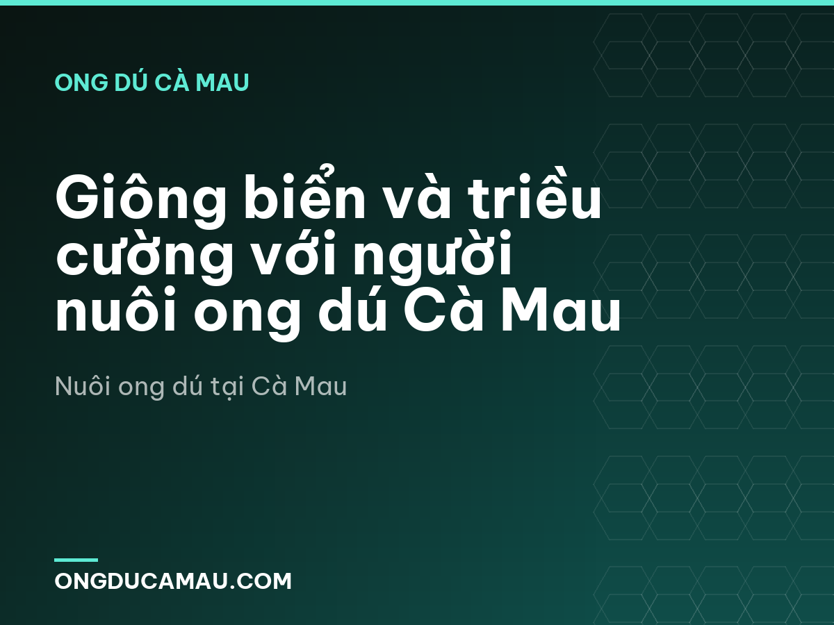Giông biển và triều cường với người nuôi ong dú Cà Mau