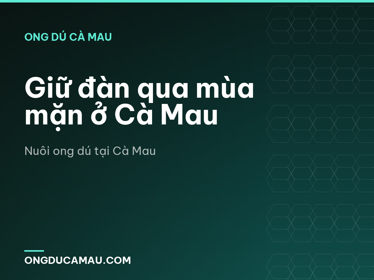 Giữ đàn qua mùa mặn ở Cà Mau