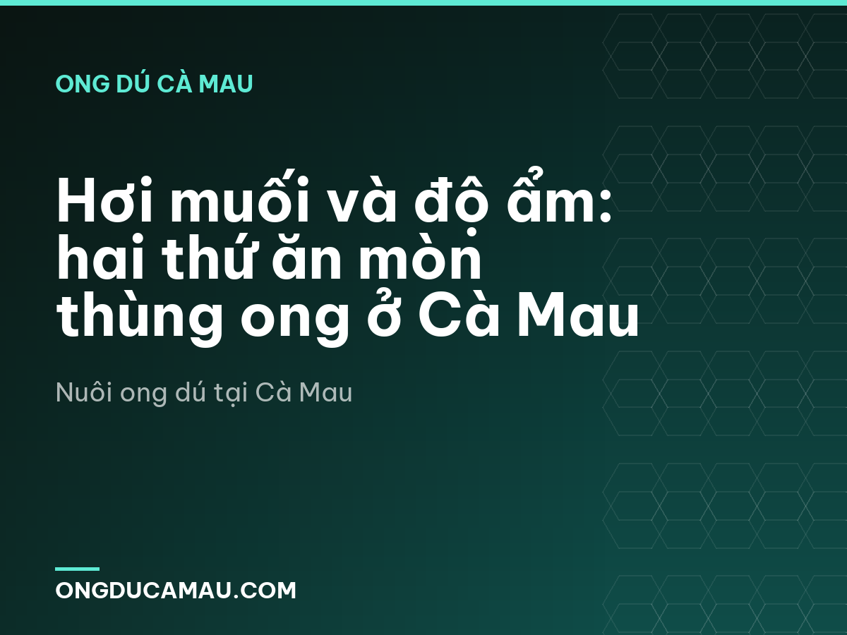 Hơi muối và độ ẩm: hai thứ ăn mòn thùng ong ở Cà Mau