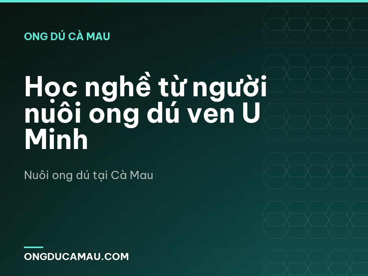 Học nghề từ người nuôi ong dú ven U Minh