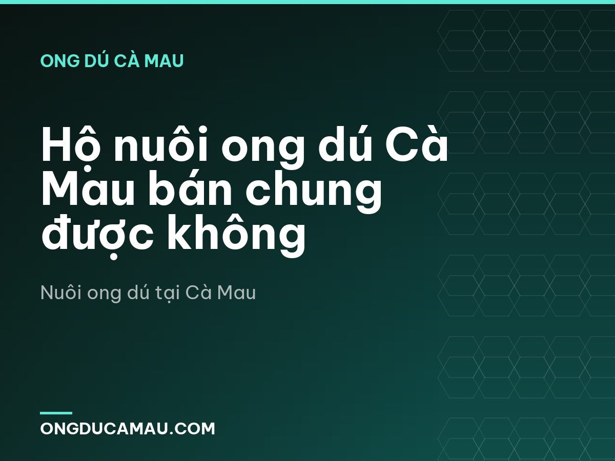 Hộ nuôi ong dú Cà Mau bán chung được không