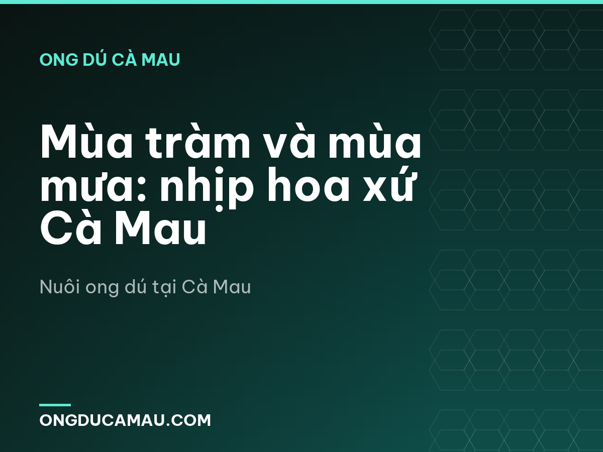 Mùa tràm và mùa mưa: nhịp hoa xứ Cà Mau