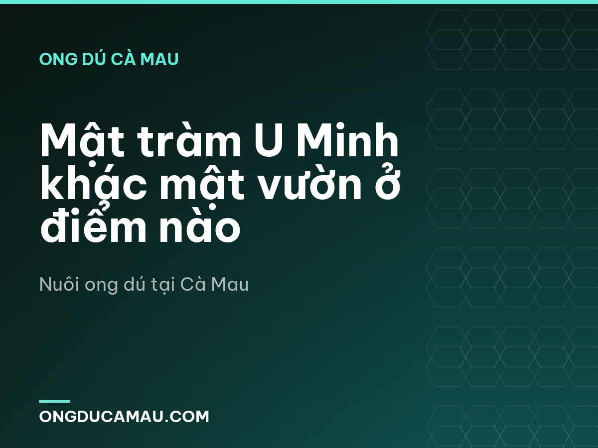 Mật tràm U Minh khác mật vườn ở điểm nào
