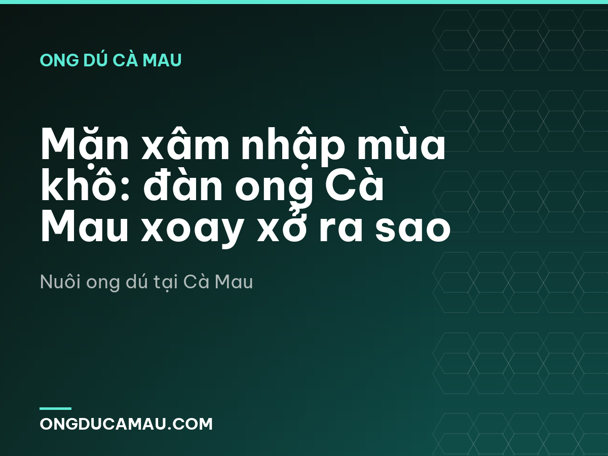 Mặn xâm nhập mùa khô: đàn ong Cà Mau xoay xở ra sao