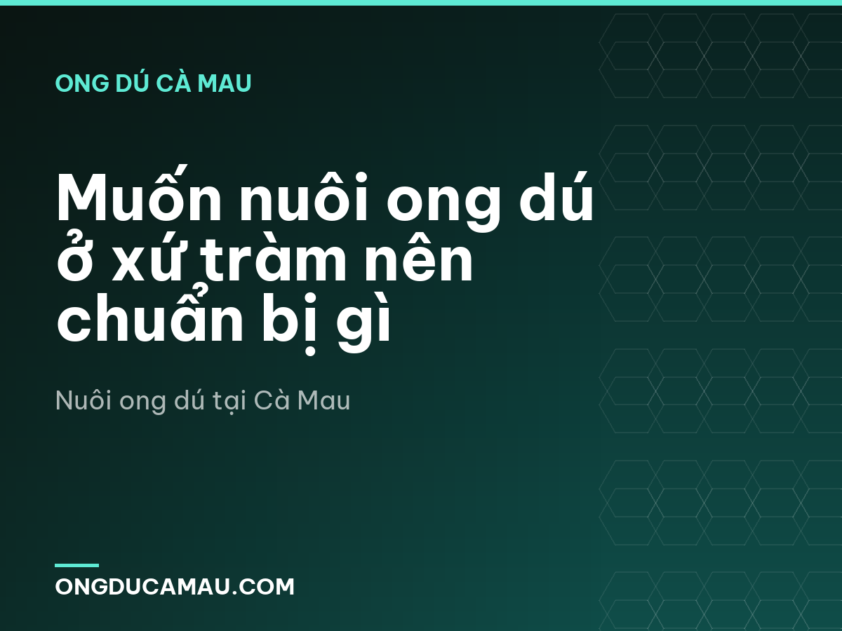Muốn nuôi ong dú ở xứ tràm nên chuẩn bị gì