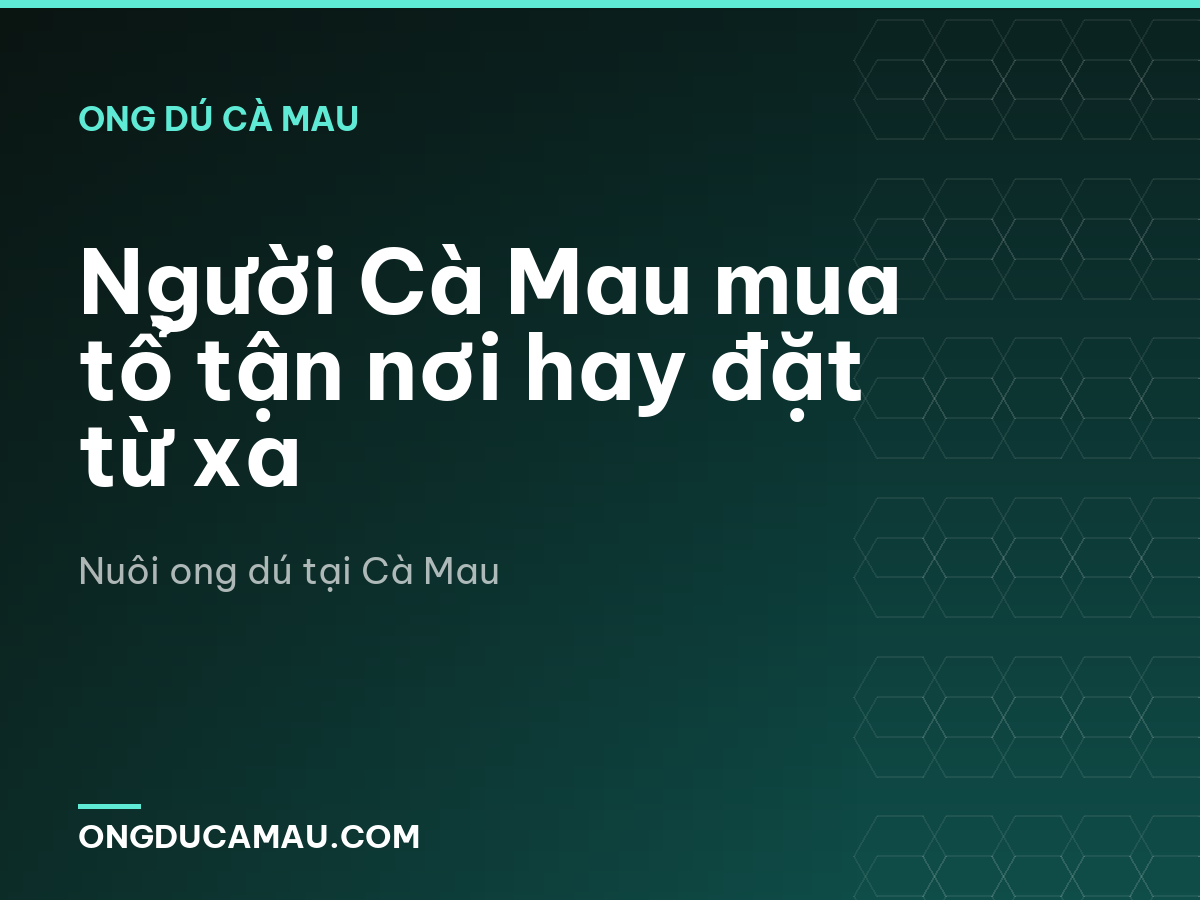 Người Cà Mau mua tổ tận nơi hay đặt từ xa