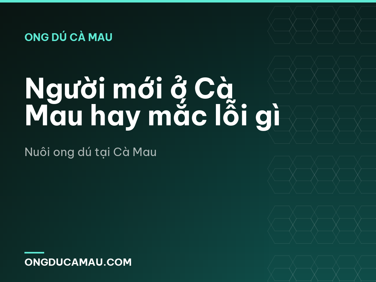 Người mới ở Cà Mau hay mắc lỗi gì
