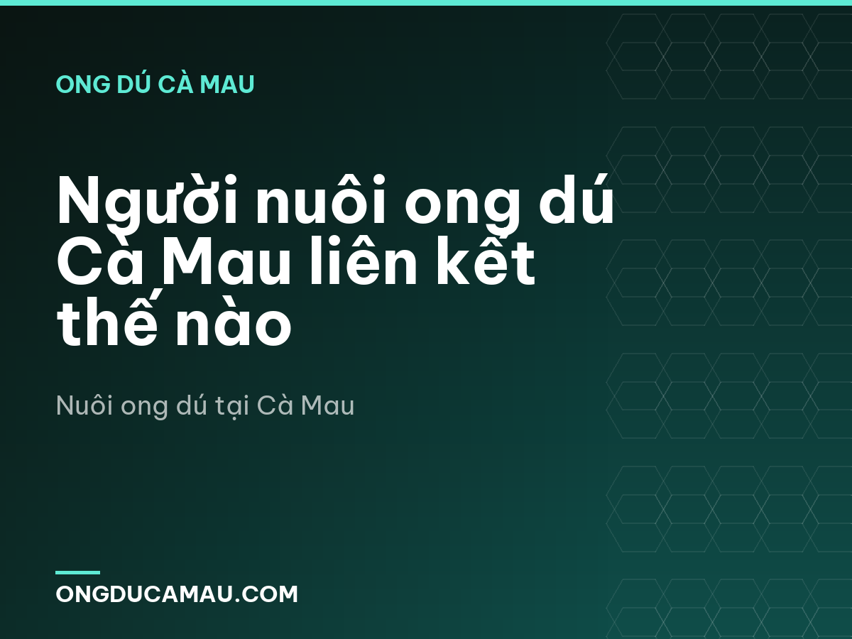 Người nuôi ong dú Cà Mau liên kết thế nào