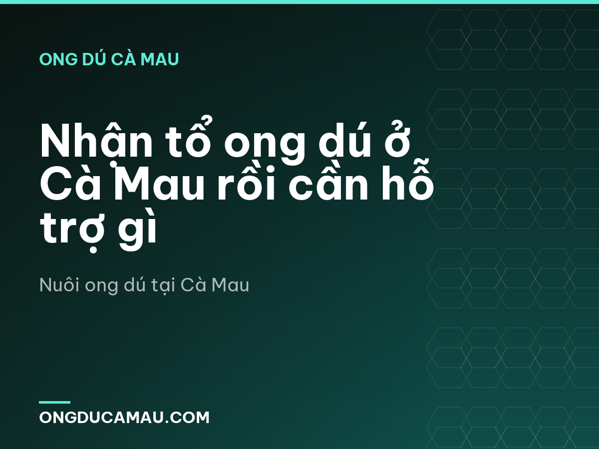 Nhận tổ ong dú ở Cà Mau rồi cần hỗ trợ gì