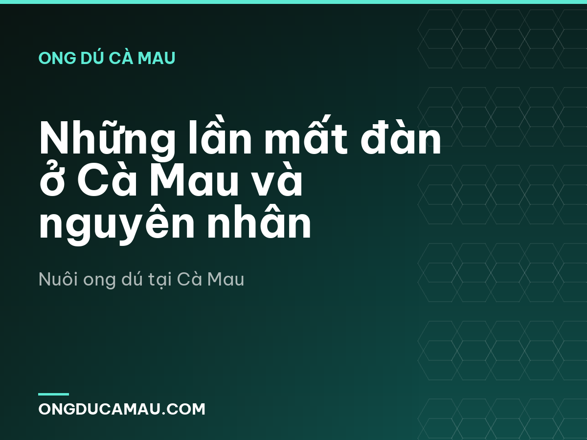 Những lần mất đàn ở Cà Mau và nguyên nhân