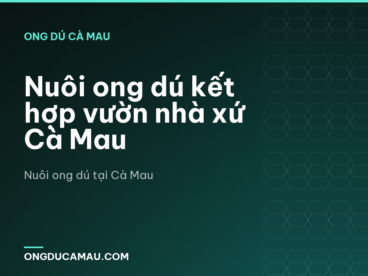 Nuôi ong dú kết hợp vườn nhà xứ Cà Mau