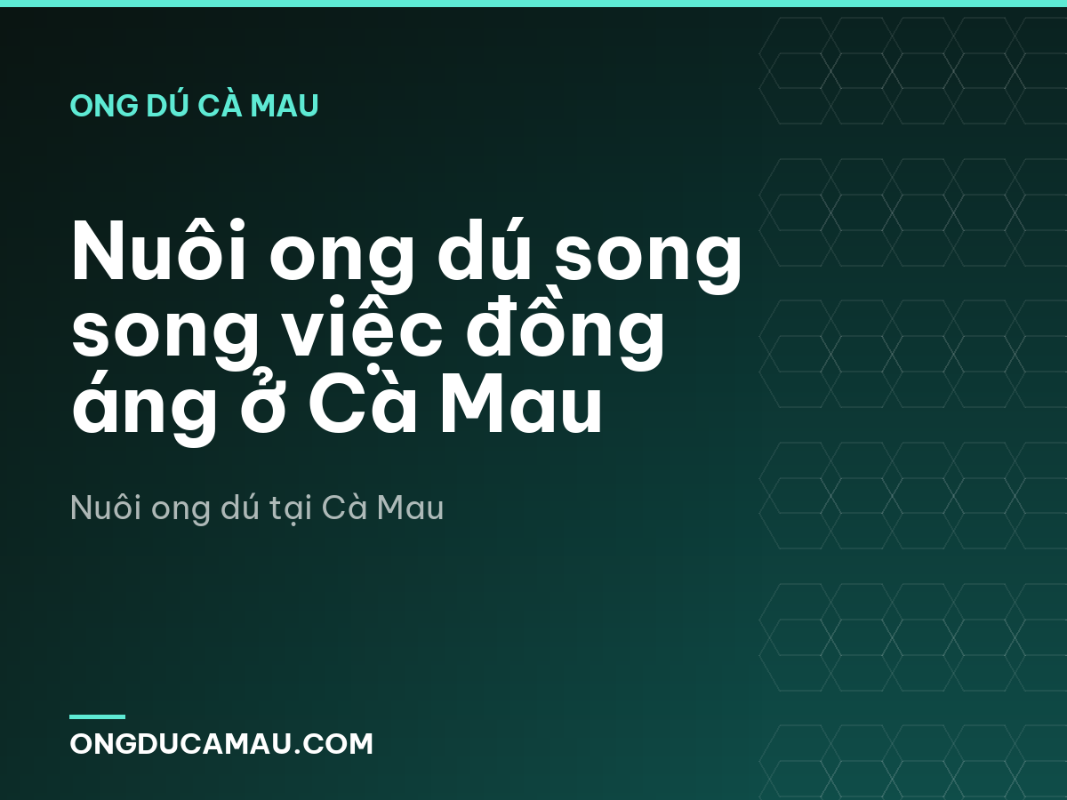 Nuôi ong dú song song việc đồng áng ở Cà Mau