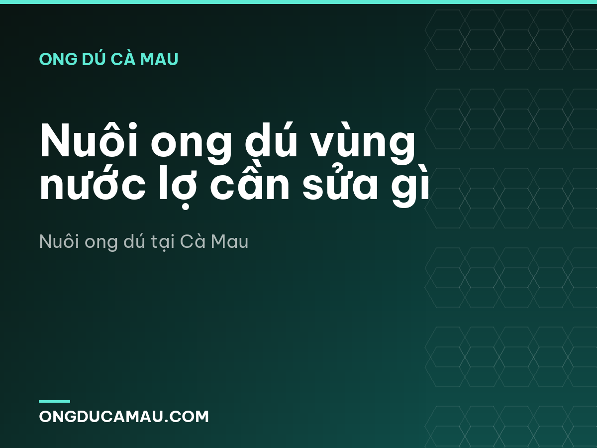 Nuôi ong dú vùng nước lợ cần sửa gì