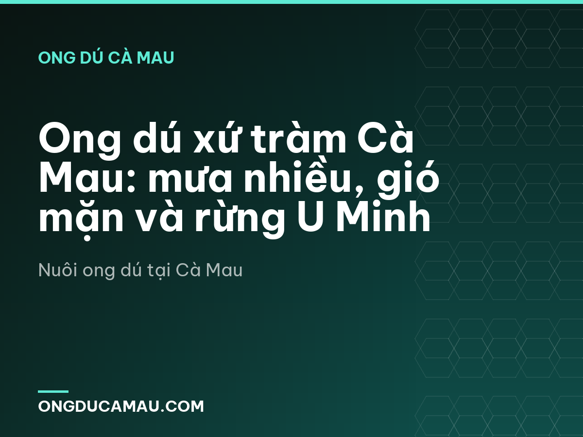 Ong dú xứ tràm Cà Mau: mưa nhiều, gió mặn và rừng U Minh