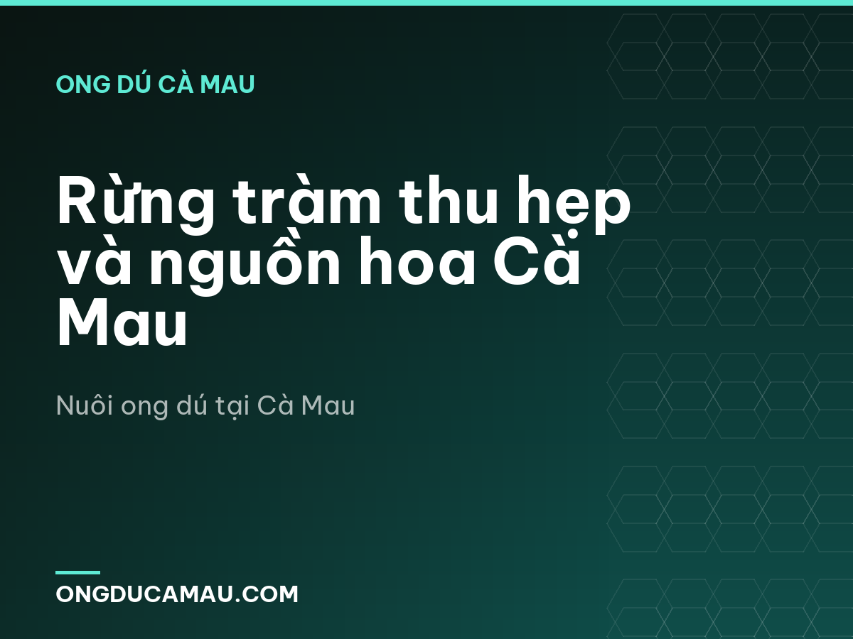 Rừng tràm thu hẹp và nguồn hoa Cà Mau