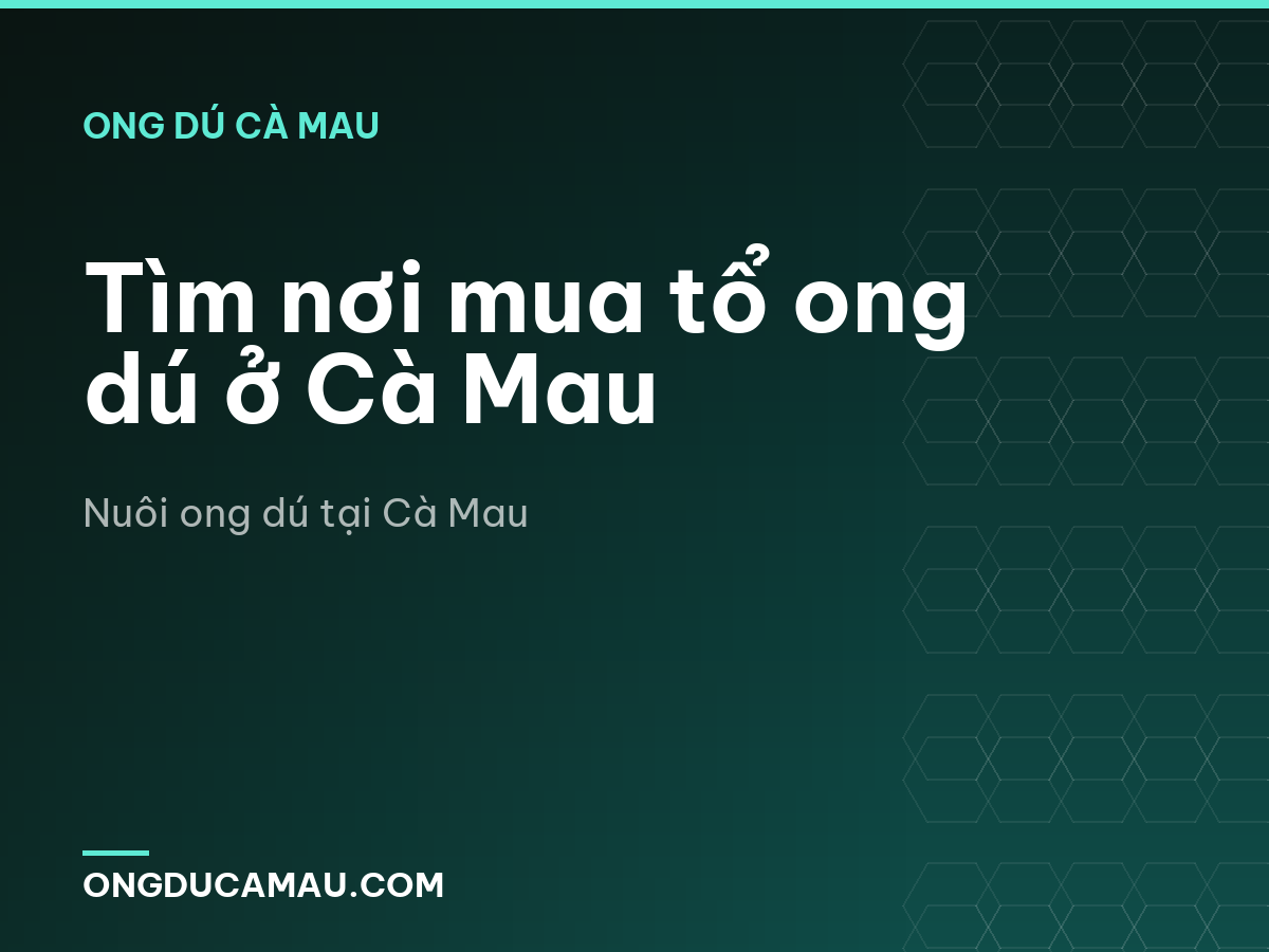 Tìm nơi mua tổ ong dú ở Cà Mau