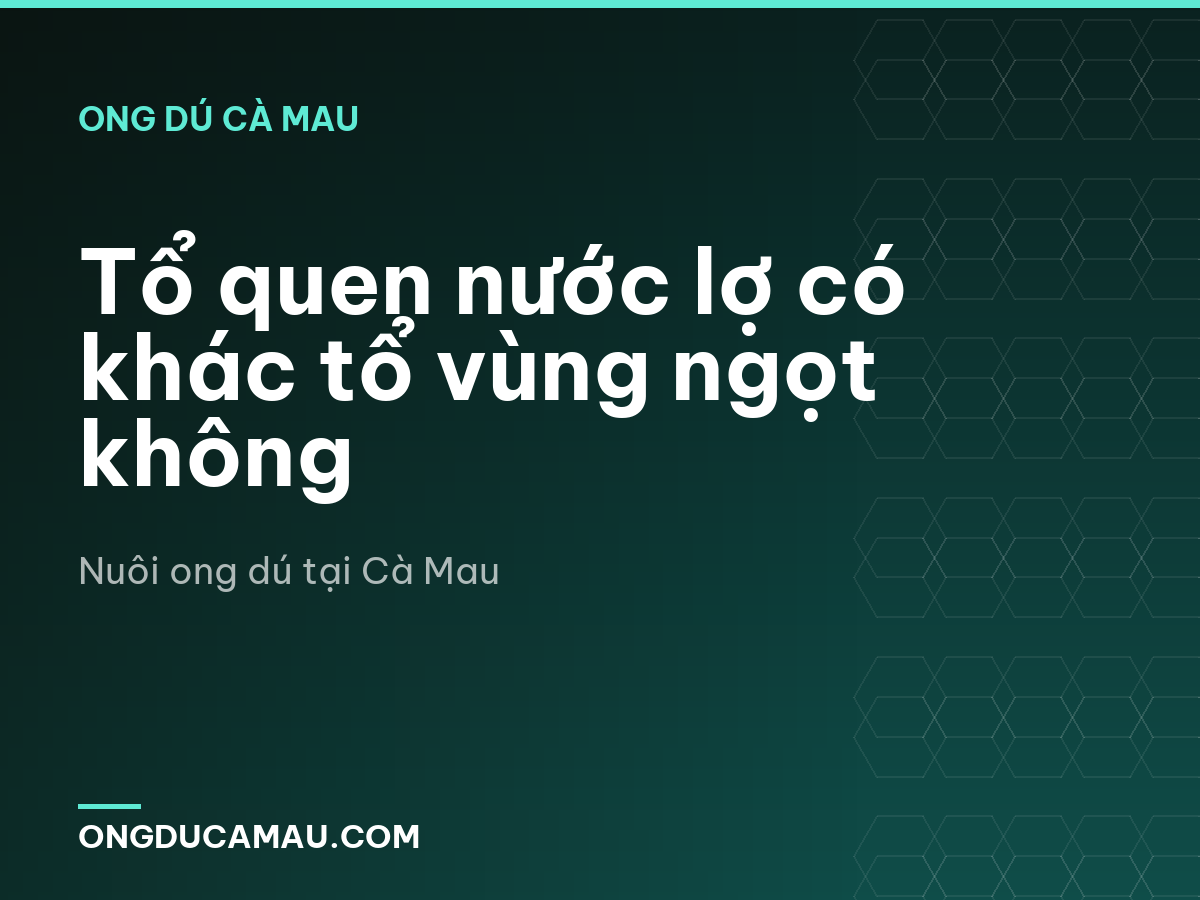 Tổ quen nước lợ có khác tổ vùng ngọt không