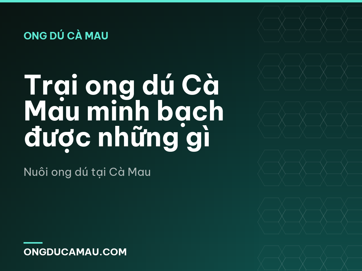 Trại ong dú Cà Mau minh bạch được những gì