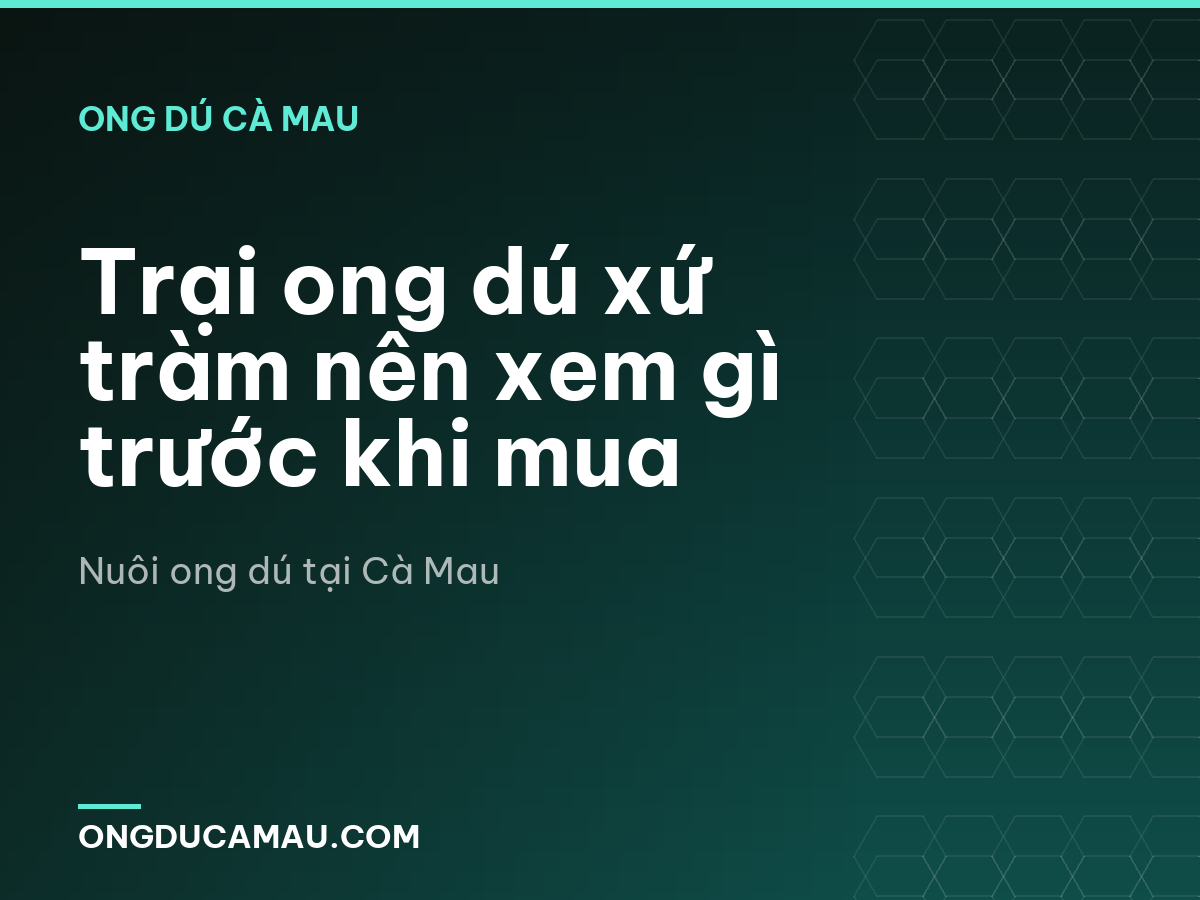 Trại ong dú xứ tràm nên xem gì trước khi mua