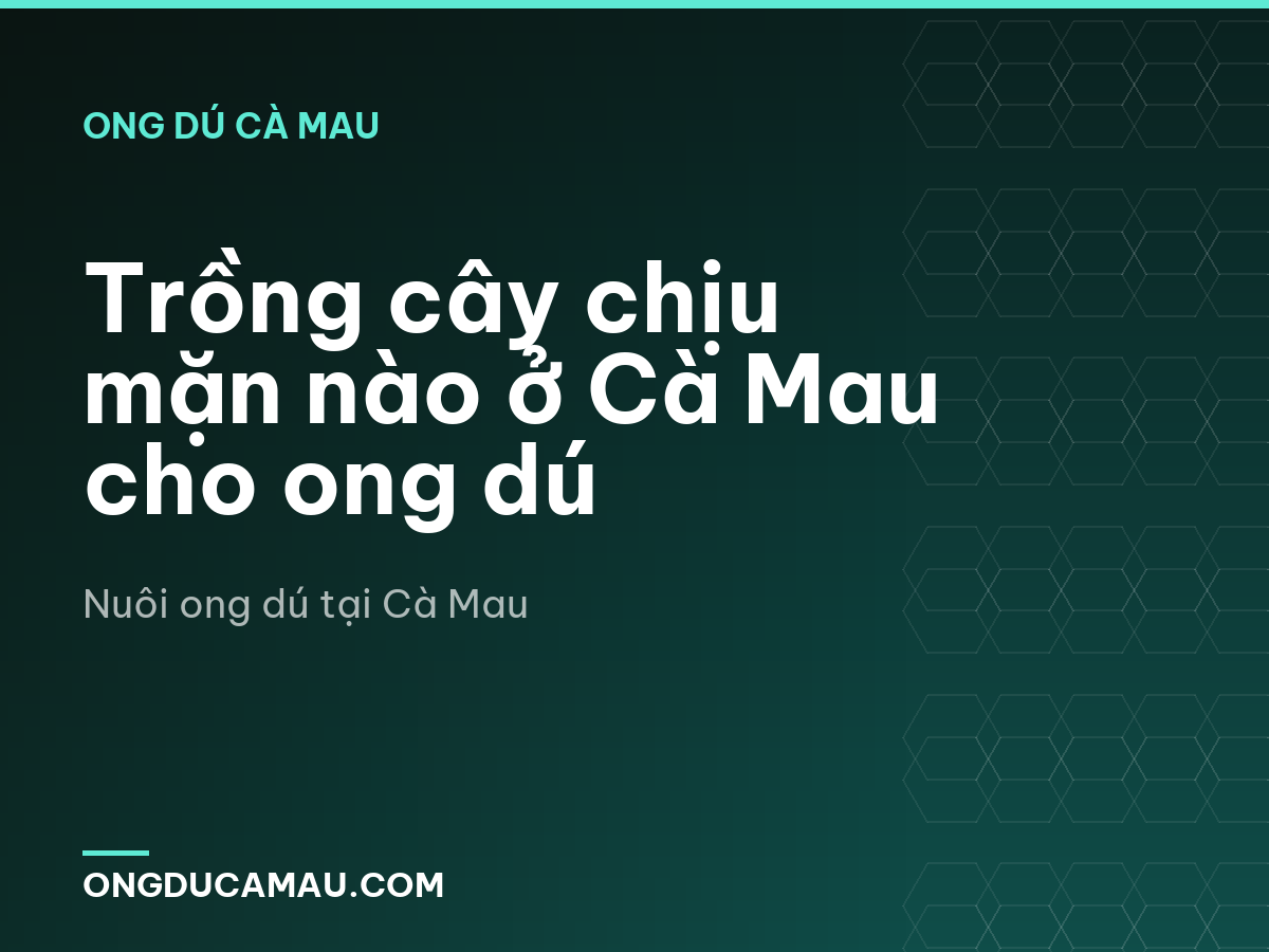 Trồng cây chịu mặn nào ở Cà Mau cho ong dú