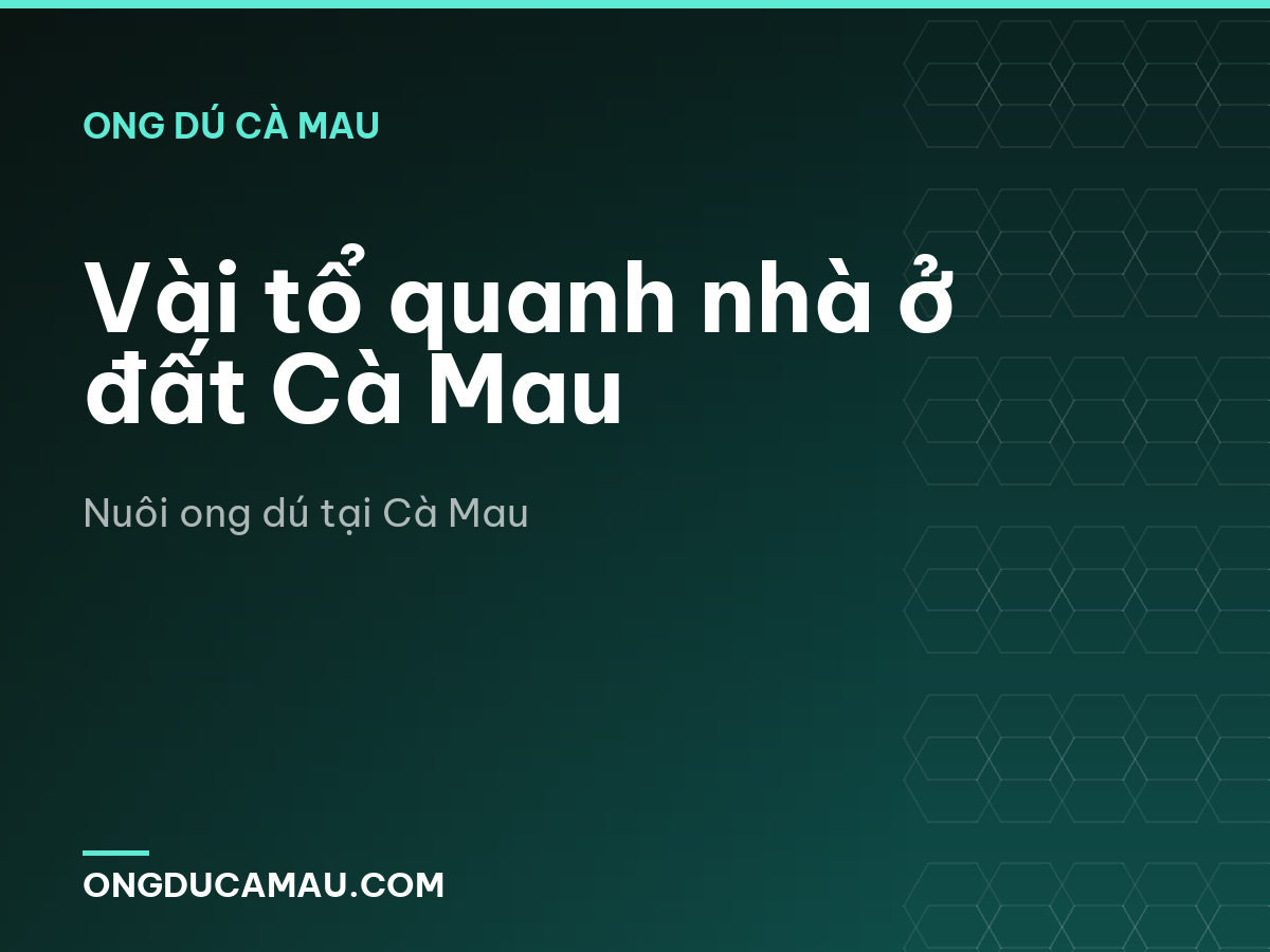 Vài tổ quanh nhà ở đất Cà Mau