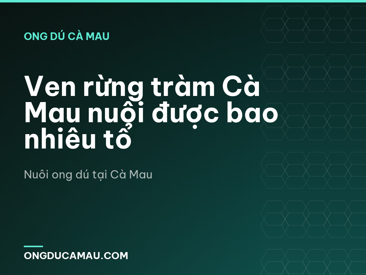 Ven rừng tràm Cà Mau nuôi được bao nhiêu tổ